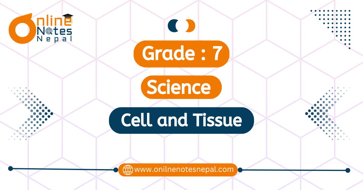 Cell and Tissue